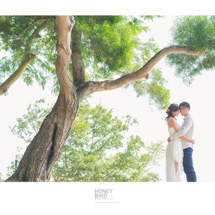Photo of :albumName taken by Honeybird Production Wedding Photography