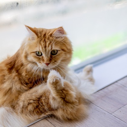 沖山俊樹が撮影した「:albumName」の写真