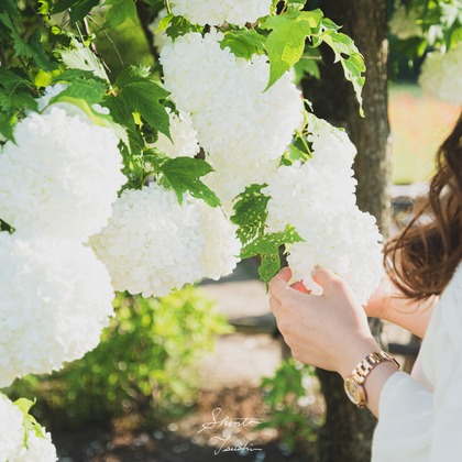 Shintaro Tsushimaが撮影した「:albumName」の写真