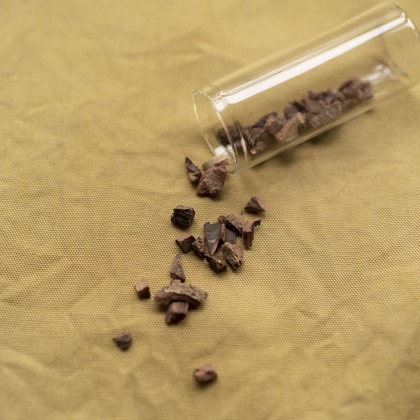 Hamuこども写真館が撮影した「:albumName」の写真