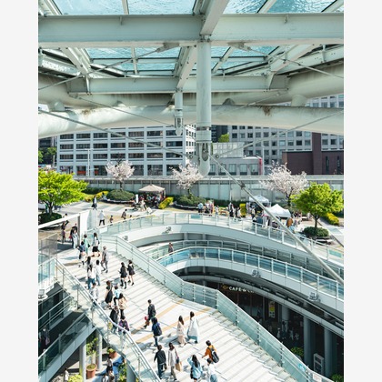 森本海斗が撮影した「:albumName」の写真