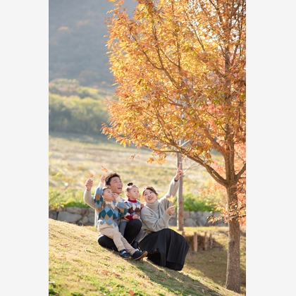 photo by Dokocaが撮影した「:albumName」の写真