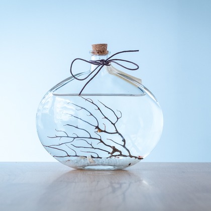 Yossyが撮影した商品/物撮りの写真