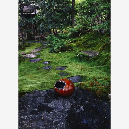 kiharu&photoが撮影した「:albumName」の写真