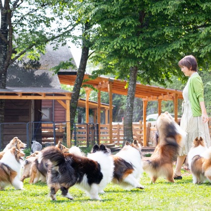 LUCE PHOTO WORKSが撮影したウェディングや家族、ビジネスの写真