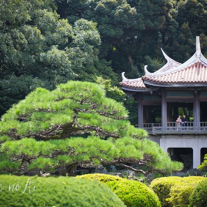 Photo of Location Photo at Shinjyukugyoen taken by Hajime no Ai Photography