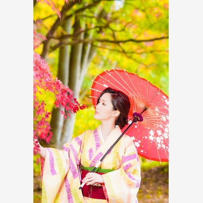 高遠が撮影した「:albumName」の写真