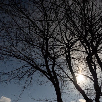 手塚隆弘が撮影したイベント/スナップ撮影の写真