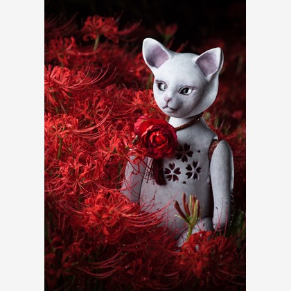 野口　恭平が撮影した商品/物撮りの写真