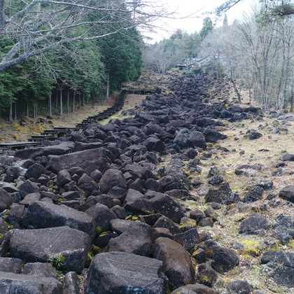 リトルダイナソーが撮影したその他/イベント/スナップ撮影の写真
