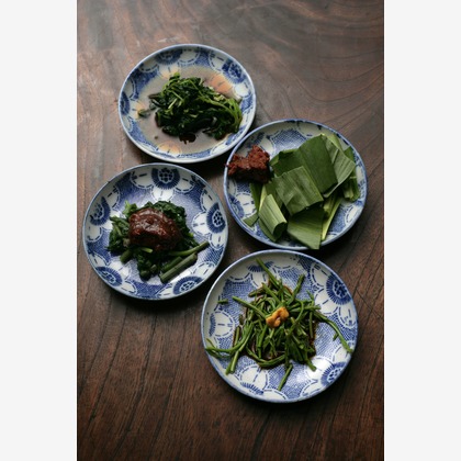 NOJYO高木俊幸写真事務所が撮影した「:albumName」の写真