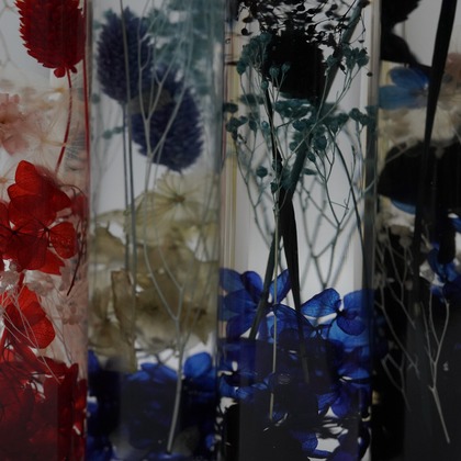 tkphotoが撮影した「:albumName」の写真