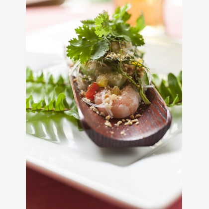 （有）プロヴィデンスが撮影した「:albumName」の写真