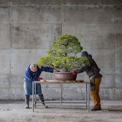 梅田　紫邑が撮影した「:albumName」の写真