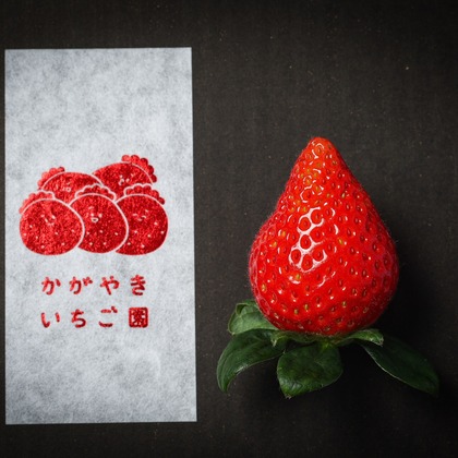 株式会社Neo-Smile 「locationbreeze」高橋 徹が撮影した「:albumName」の写真