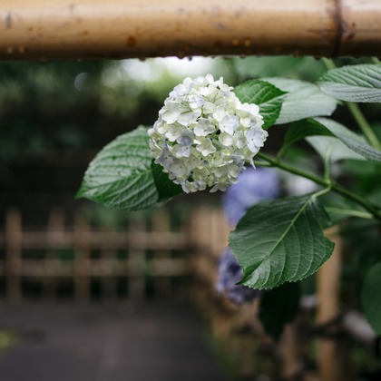 Photo of The Day of Wedding taken by yuri uemura