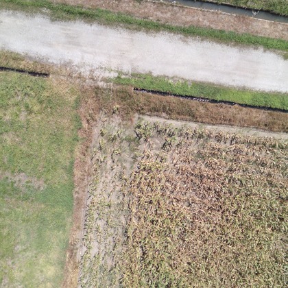 アナハイムエレクトロニクスが撮影したその他の写真