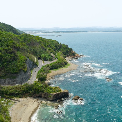 クリエイティブツリーが撮影した「:albumName」の写真