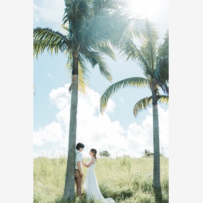 ShueiAraiが撮影したウェディングや家族、ビジネスの写真