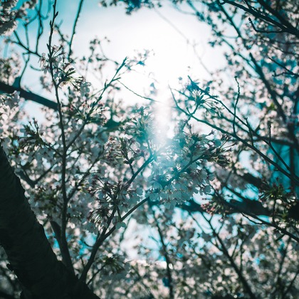 堀内 陽希が撮影したイベント/スナップ撮影の写真