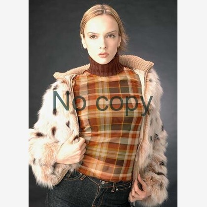 有限会社フリーディメンション　田中勝巳が撮影した「:albumName」の写真