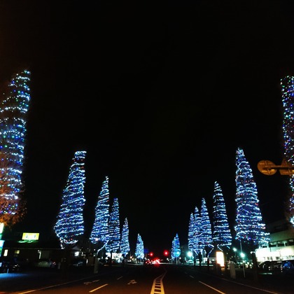 出張撮影のメモリーズが撮影した「:albumName」の写真