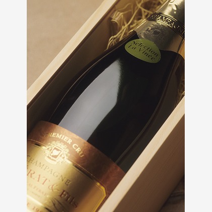 森　健児が撮影した料理撮影の写真