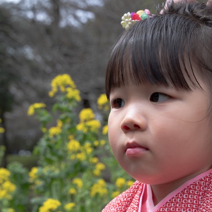 ミヤタカズコが撮影した「:albumName」の写真