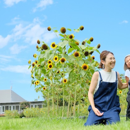 tomizoが撮影した「:albumName」の写真