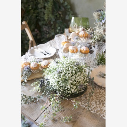 寫眞館　太陽と月（野崎よよこ）が撮影したウェディングや家族、ビジネスの写真