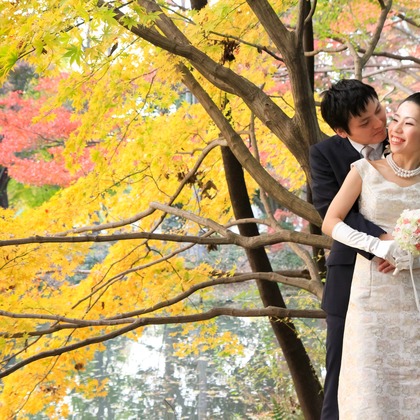 Photo of :albumName taken by Smilehunter