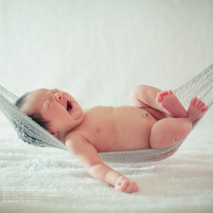 MF STUDIO Migoが撮影した「:albumName」の写真