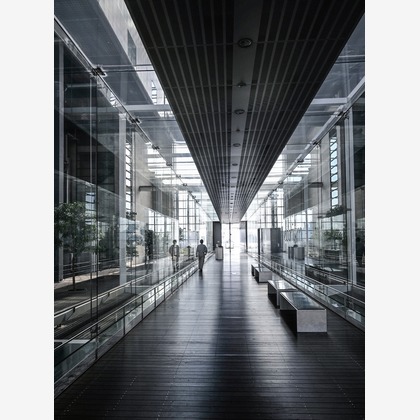 菅悠生が撮影した「:albumName」の写真