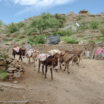Katsuhiko Suzukiが撮影した「:albumName」の写真