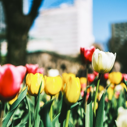 堀内 陽希が撮影したイベント/スナップ撮影の写真