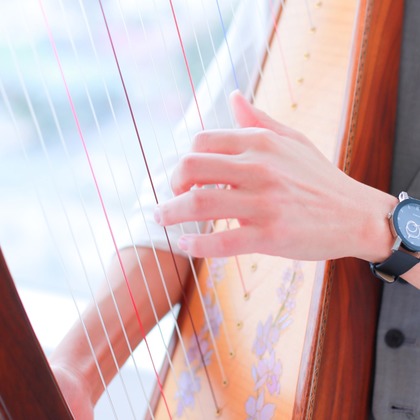 TAROU_HATANAKA が撮影したウェディングや家族、ビジネスの写真