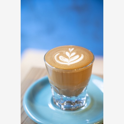 笠井鉄正写真事務所が撮影した「:albumName」の写真