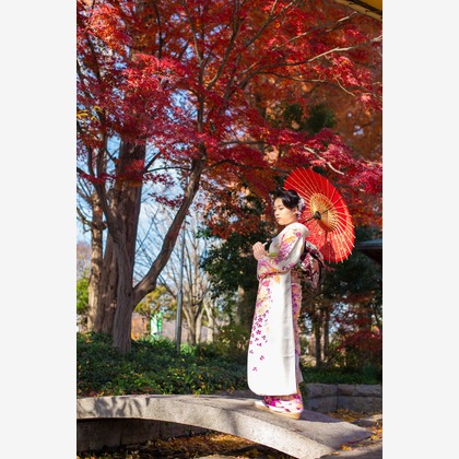 ゾクが撮影した「:albumName」の写真