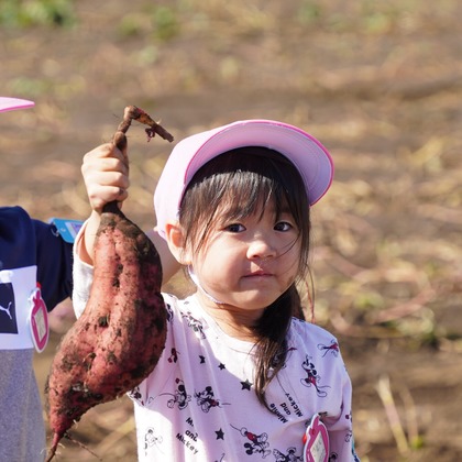 スタジオ　まるが撮影した「:albumName」の写真