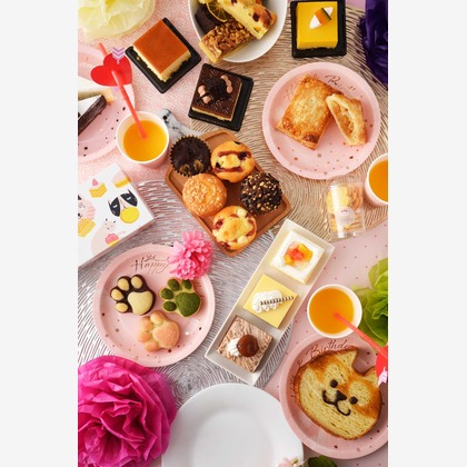 佳川奈央が撮影した料理撮影の写真