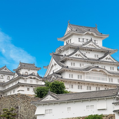 早川 陸が撮影したその他の写真