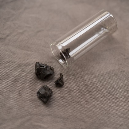 Hamuこども写真館が撮影した「:albumName」の写真