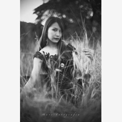 Top Gunが撮影したその他の写真