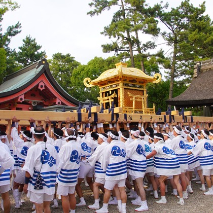 河野慈圓が撮影した「:albumName」の写真