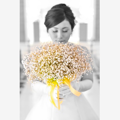 PIC WEDDING PHOTO（岩本 竜弥）が撮影したウェディングや家族、ビジネスの写真