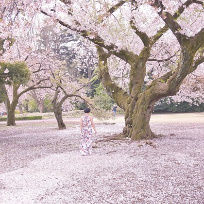 naru2photoが撮影したその他の写真