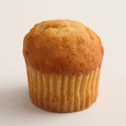 森安　照が撮影した「:albumName」の写真