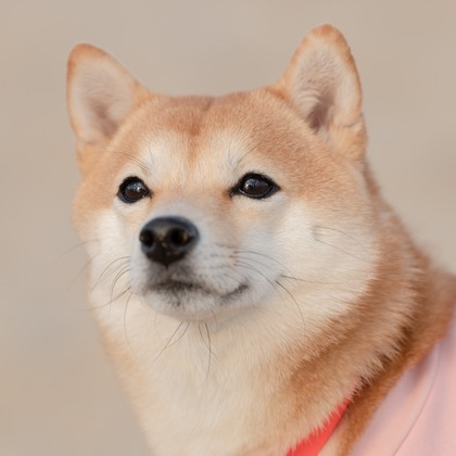 福永写真事務所が撮影した「:albumName」の写真