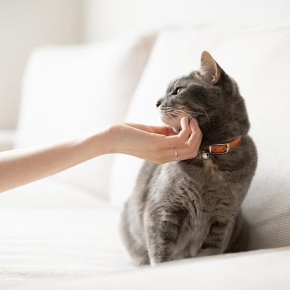 Engagement Photography/Location Photo Shoot/Studio Shoot/Wedding Day Photography/After-party Photo Shoot/Honeymoon Photo Shoot/Kimono Shoot Photos taken by VISTA Photography