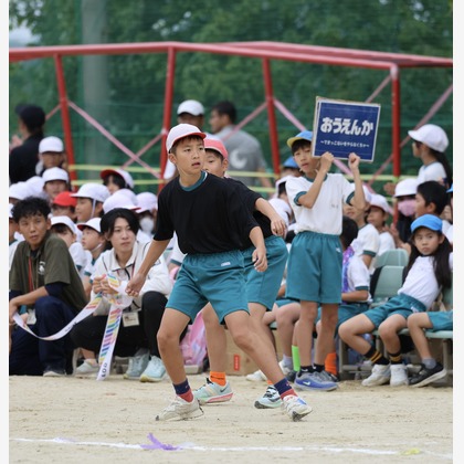 えむあんりみてっどが撮影した「:albumName」の写真